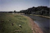 Banks of Horyn River