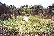 Holobotow forest, outside of Stryj, where several thousand Jews were shot. .