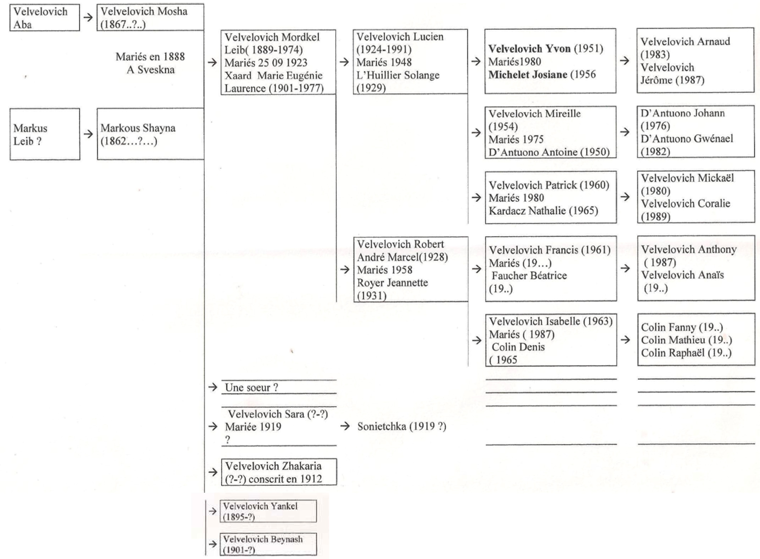 Velvelovich Family Tree.