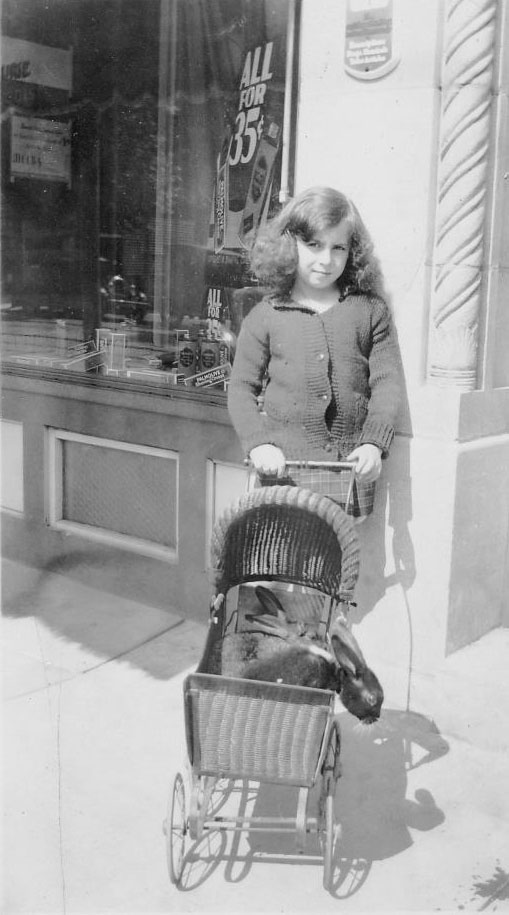 Elaine Lurie Seidenberg