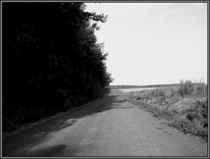To the slaughter. Ternivka