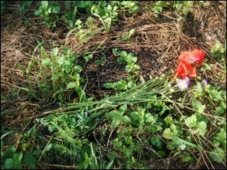 Ternivka mass grave