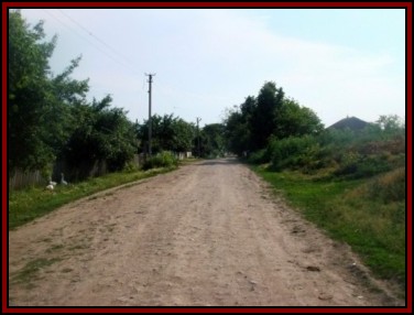 Ternivka. June 2008