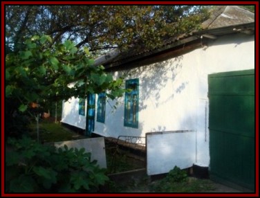 Tenivka. June 10, 2008
