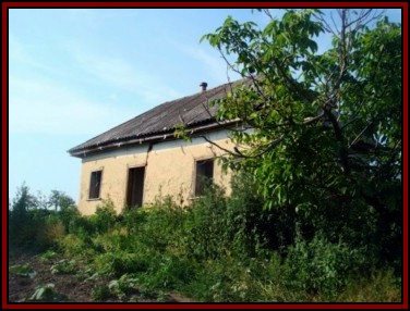 Ternivka. June 2008