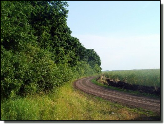 road to murder site