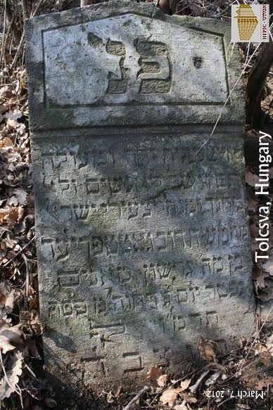 Gottfried matzeva