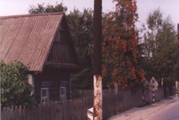 HouseInTurov1