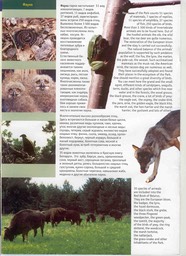 LS_PripiatNationalPark_3