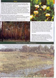 LS_PripiatNationalPark_4