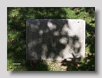 Hebrew-Cemetery-135