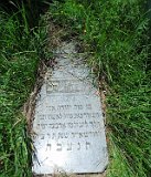 Yasinya-tstone-0218