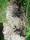 Yasinya-tstone-0505
