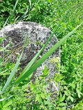 Yasinya-tstone-0641
