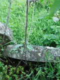 Yasinya-tstone-0826
