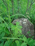 Yasinya-tstone-0838