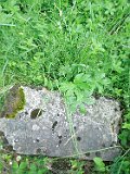 Yasinya-tstone-0852