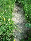 Yasinya-tstone-0880