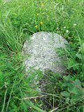 Yasinya-tstone-0931