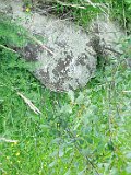 Yasinya-tstone-0990