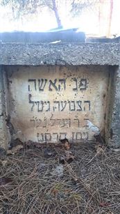 Gitel Eshkenazi died 1909 age 95