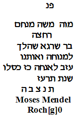 transcription