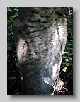 Zaluzhzhia-Cemetery-stone-015