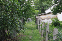 Main St. path to Old Jewish Neighborhood