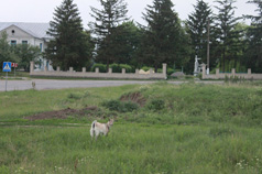 Former Market Square